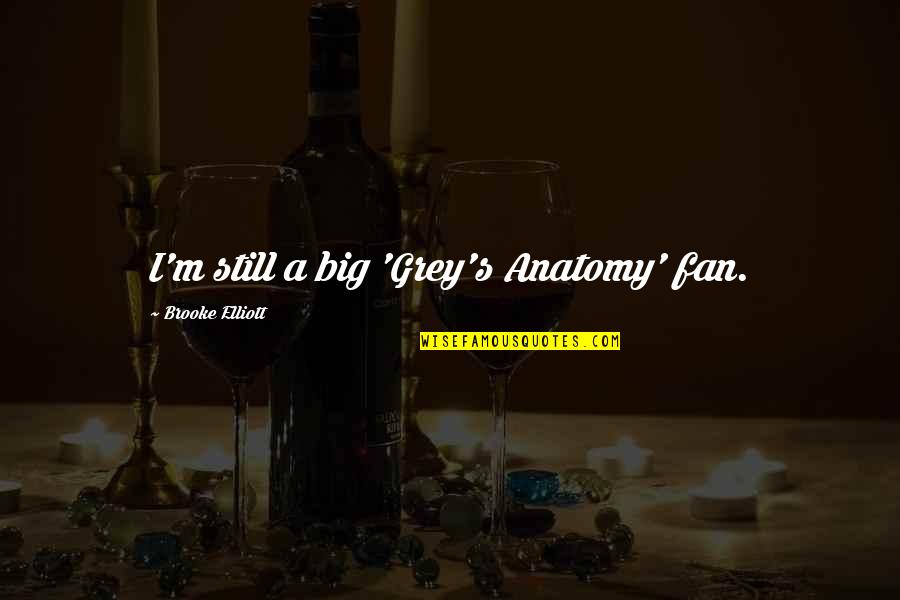 Angels From The Bible Quotes By Brooke Elliott: I'm still a big 'Grey's Anatomy' fan.
