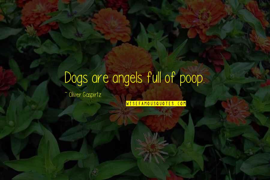 Angels In Disguise Quotes By Oliver Gaspirtz: Dogs are angels full of poop. Angels In Disguise Quotes By Oliver Gaspirtz: Dogs are angels full of poop.