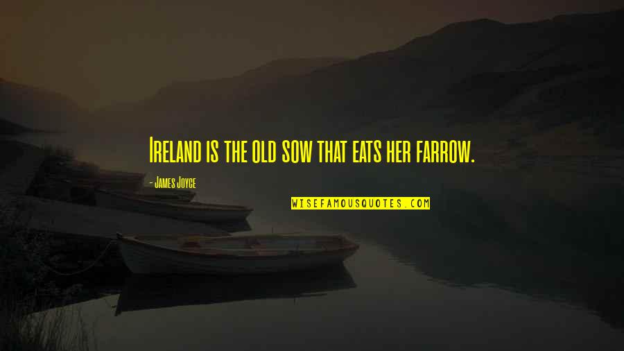 Angelsspeak Quotes By James Joyce: Ireland is the old sow that eats her
