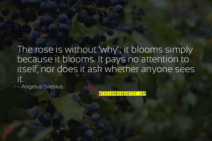 Angelus Quotes By Angelus Silesius: The rose is without 'why'; it blooms simply Angelus Quotes By Angelus Silesius: The rose is without 'why'; it blooms simply