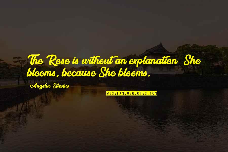 Angelus Quotes By Angelus Silesius: The Rose is without an explanation; She blooms,