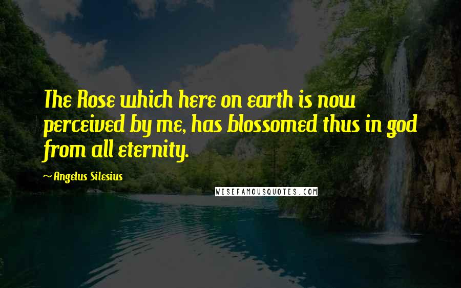 Angelus Silesius quotes: The Rose which here on earth is now perceived by me, has blossomed thus in god from all eternity.
