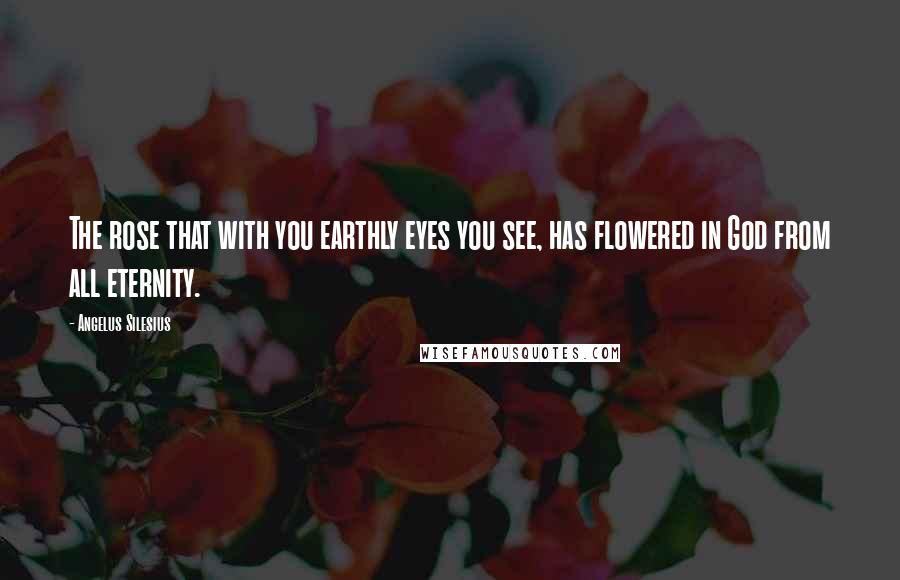 Angelus Silesius quotes: The rose that with you earthly eyes you see, has flowered in God from all eternity.