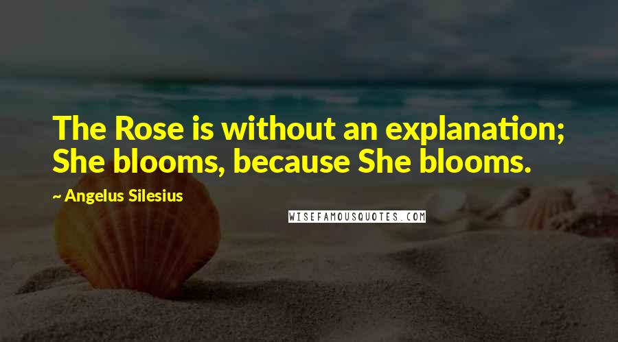 Angelus Silesius quotes: The Rose is without an explanation; She blooms, because She blooms.