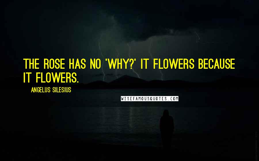 Angelus Silesius quotes: The rose has no 'Why?' It flowers because it flowers.
