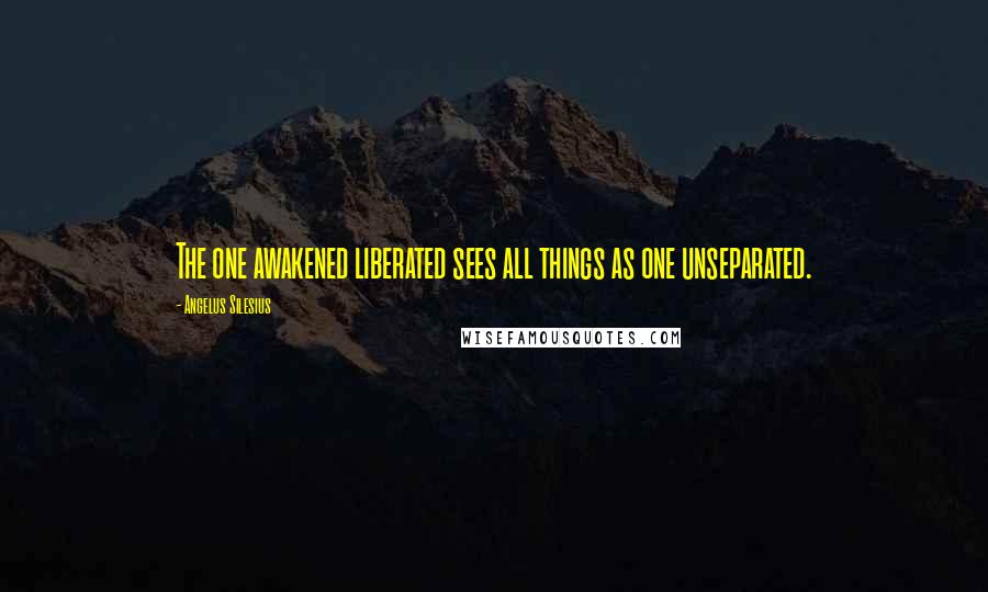 Angelus Silesius quotes: The one awakened liberated sees all things as one unseparated.
