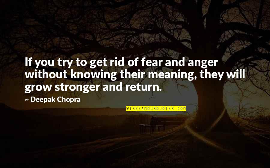 Anger And Fear Quotes By Deepak Chopra: If you try to get rid of fear