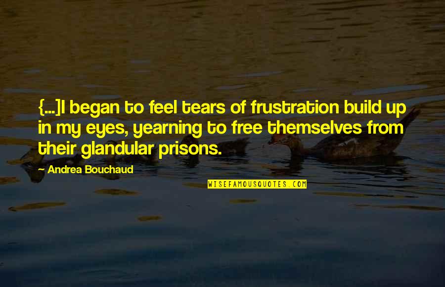 Anger And Frustration Quotes By Andrea Bouchaud: {...]I began to feel tears of frustration build