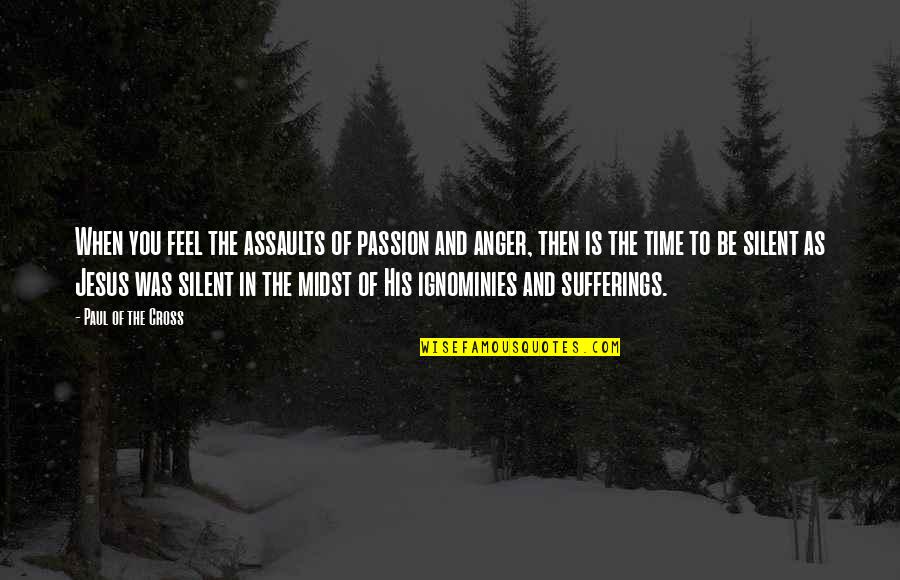 Anger And Passion Quotes By Paul Of The Cross: When you feel the assaults of passion and