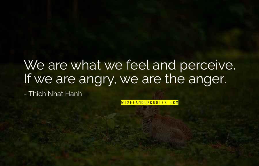 Anger And Quotes By Thich Nhat Hanh: We are what we feel and perceive. If Anger And Quotes By Thich Nhat Hanh: We are what we feel and perceive. If
