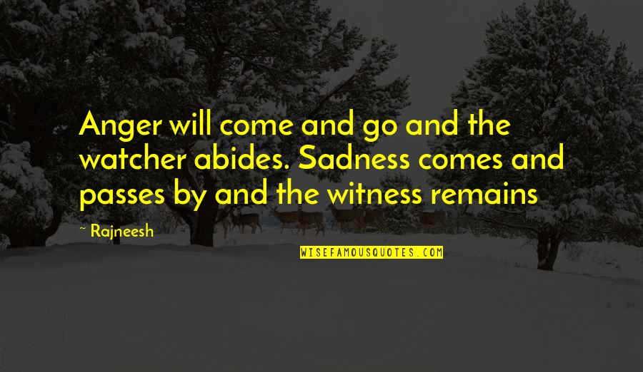 Anger And Sadness Quotes By Rajneesh: Anger will come and go and the watcher