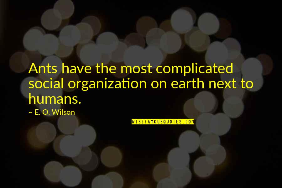 Anger Consequences Quotes By E. O. Wilson: Ants have the most complicated social organization on