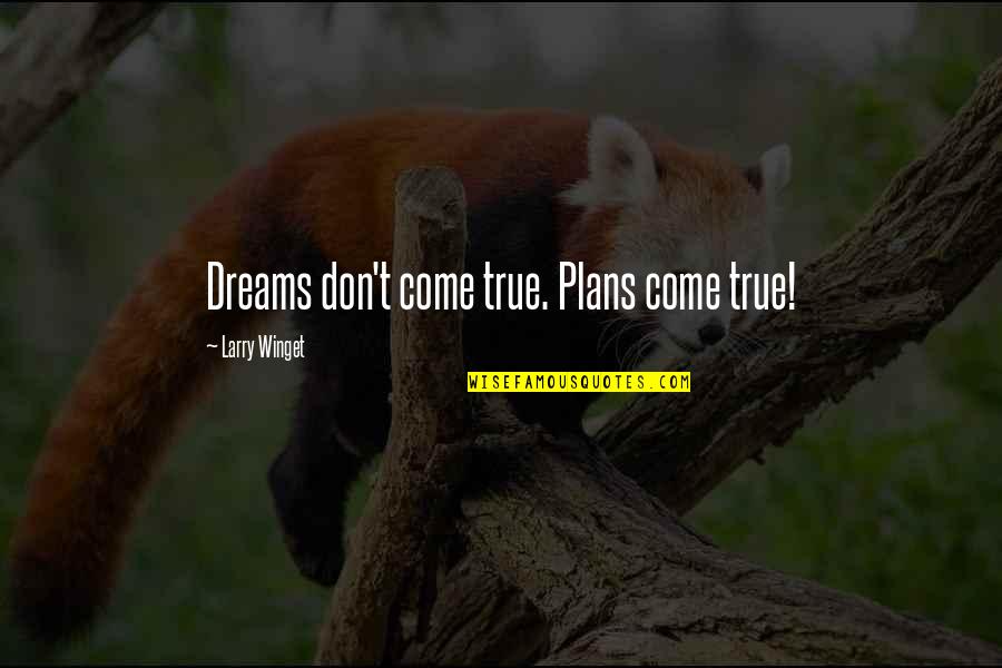 Anger For No Reason Quotes By Larry Winget: Dreams don't come true. Plans come true!