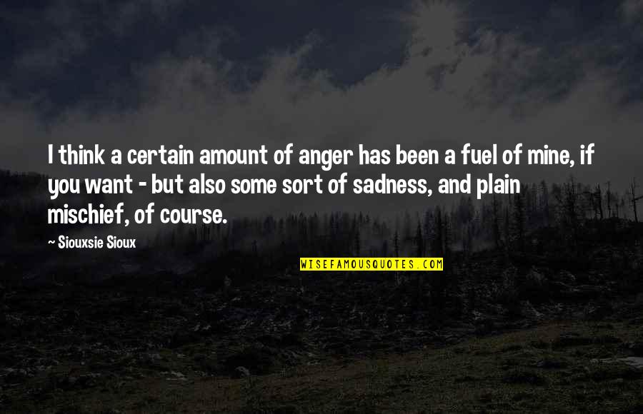 Anger Fuel Quotes By Siouxsie Sioux: I think a certain amount of anger has