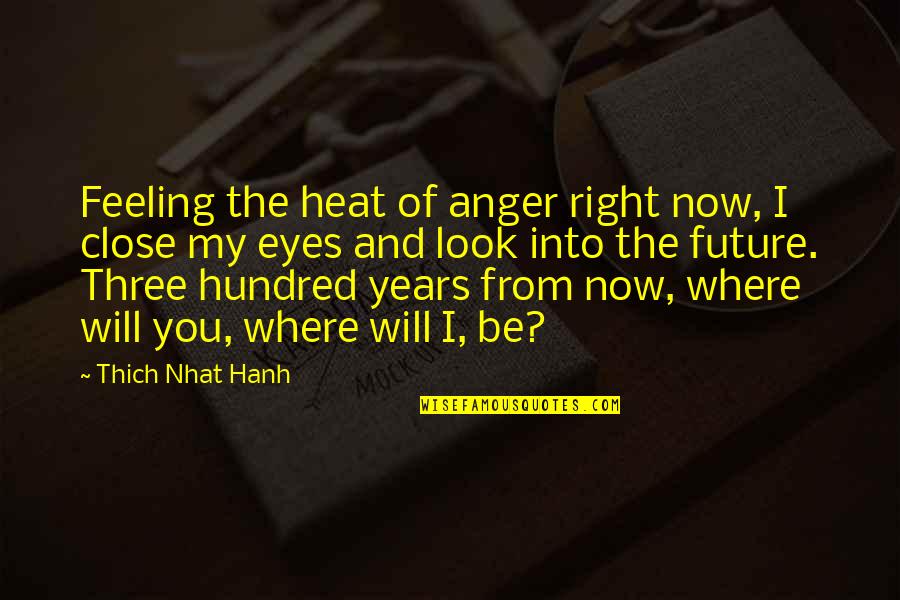 Anger In Eyes Quotes By Thich Nhat Hanh: Feeling the heat of anger right now, I Anger In Eyes Quotes By Thich Nhat Hanh: Feeling the heat of anger right now, I