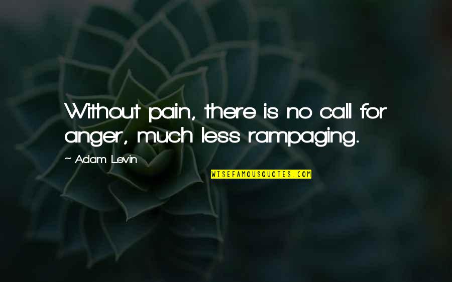 Anger Less Quotes By Adam Levin: Without pain, there is no call for anger,