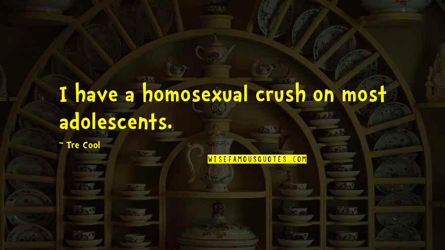 Anger Sayings And Quotes By Tre Cool: I have a homosexual crush on most adolescents.