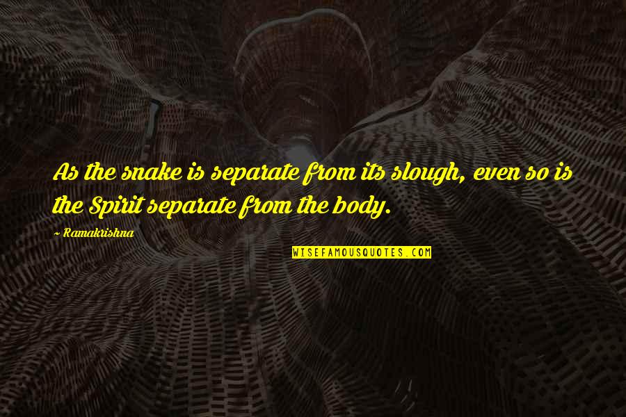 Anges Gardiens Quotes By Ramakrishna: As the snake is separate from its slough,