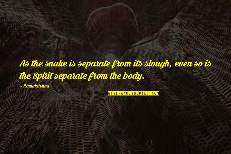 Anges Gardiens Quotes By Ramakrishna: As the snake is separate from its slough, Anges Gardiens Quotes By Ramakrishna: As the snake is separate from its slough,