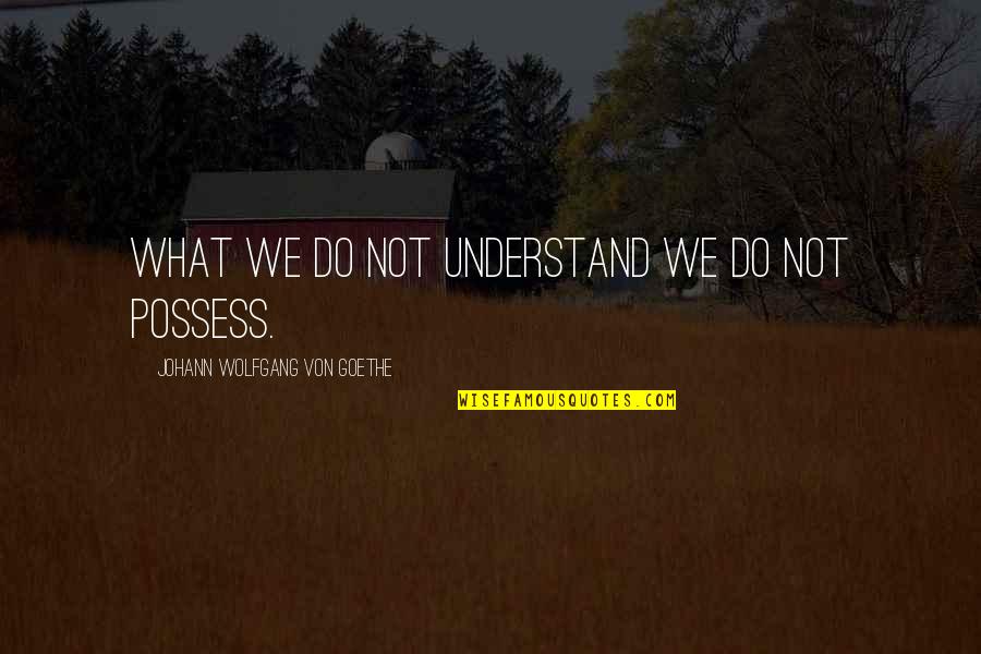 Angevine Middle Quotes By Johann Wolfgang Von Goethe: What we do not understand we do not