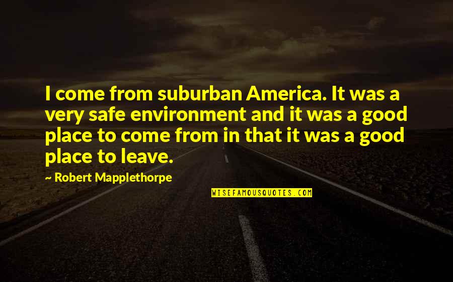 Anggur Merah Quotes By Robert Mapplethorpe: I come from suburban America. It was a Anggur Merah Quotes By Robert Mapplethorpe: I come from suburban America. It was a
