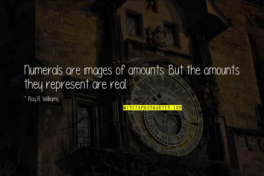 Anghel Sal Lupo Quotes By Roy H. Williams: Numerals are images of amounts. But the amounts Anghel Sal Lupo Quotes By Roy H. Williams: Numerals are images of amounts. But the amounts