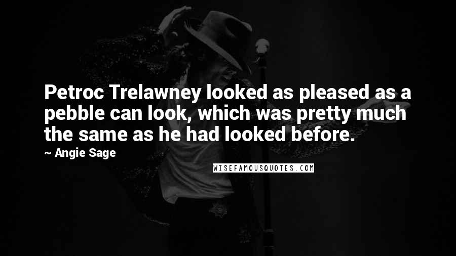 Angie Sage quotes: Petroc Trelawney looked as pleased as a pebble can look, which was pretty much the same as he had looked before.