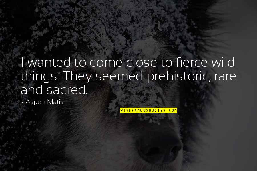 Angina Pain Quotes By Aspen Matis: I wanted to come close to fierce wild