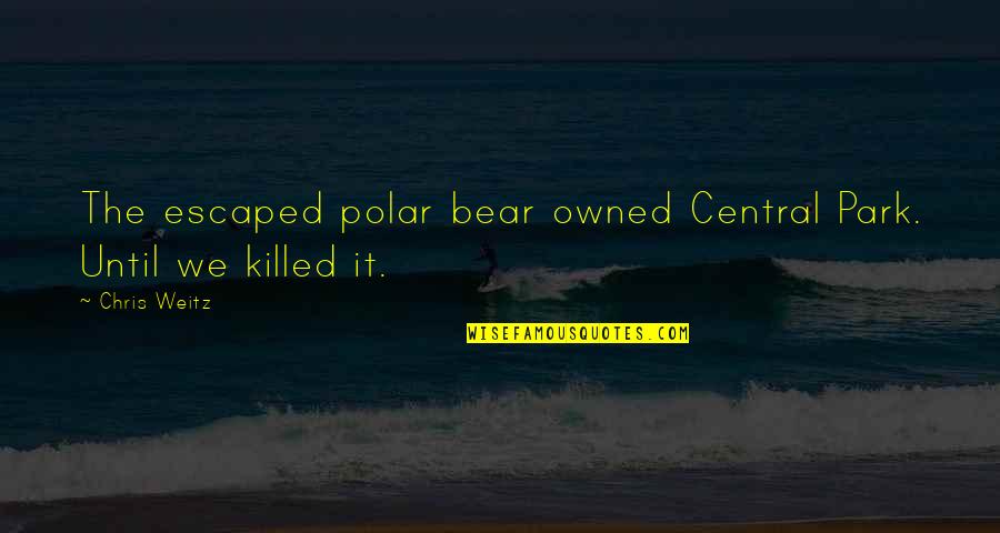 Angioplasty Vs Angiogram Quotes By Chris Weitz: The escaped polar bear owned Central Park. Until