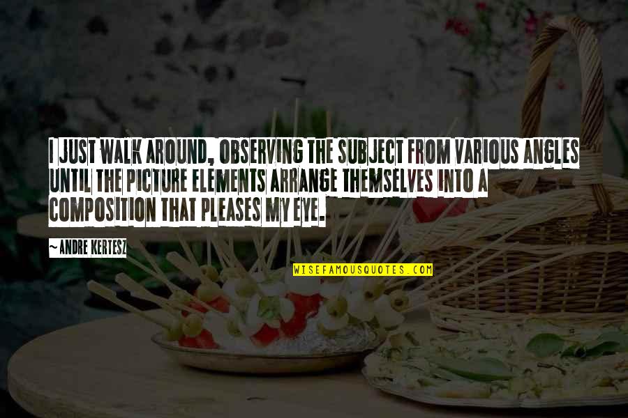 Angles Quotes By Andre Kertesz: I just walk around, observing the subject from