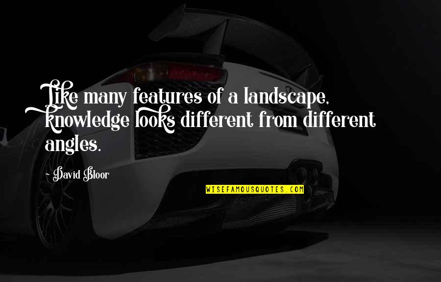 Angles Quotes By David Bloor: Like many features of a landscape, knowledge looks