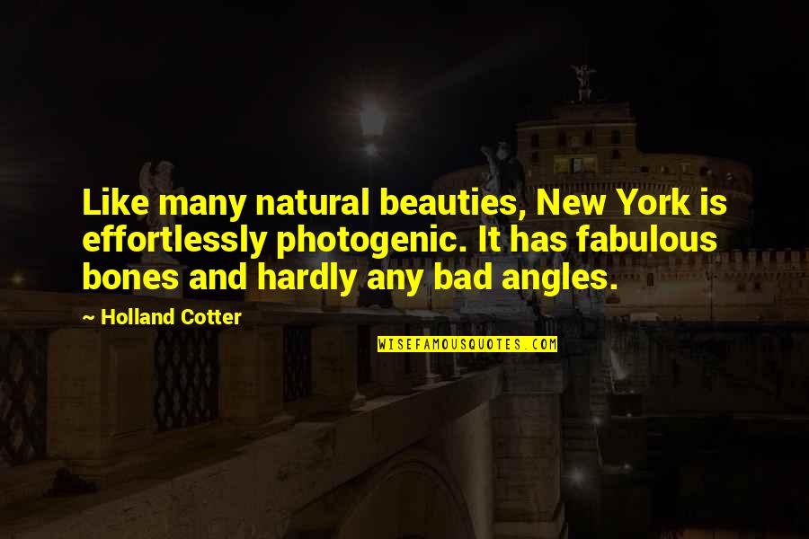 Angles Quotes By Holland Cotter: Like many natural beauties, New York is effortlessly