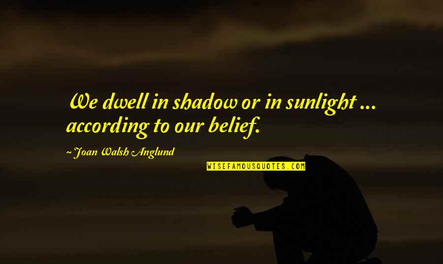 Anglund Quotes By Joan Walsh Anglund: We dwell in shadow or in sunlight ...