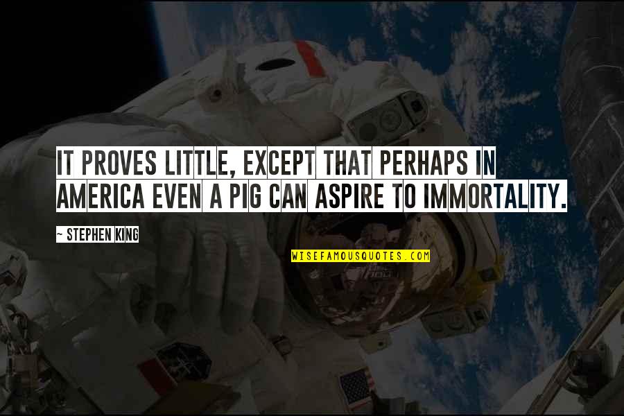 Anglund Quotes By Stephen King: It proves little, except that perhaps in America Anglund Quotes By Stephen King: It proves little, except that perhaps in America