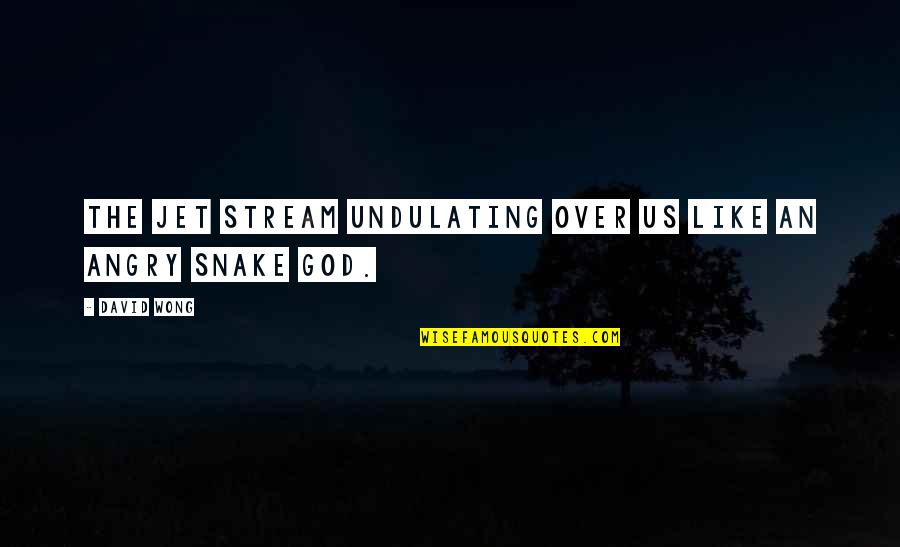 Angry At God Quotes By David Wong: the jet stream undulating over us like an