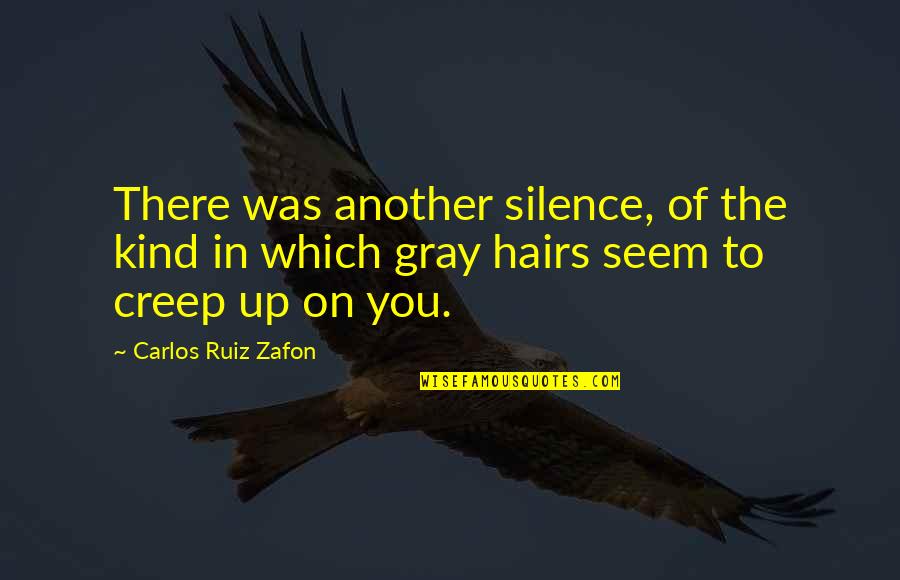 Angry Console Quotes By Carlos Ruiz Zafon: There was another silence, of the kind in