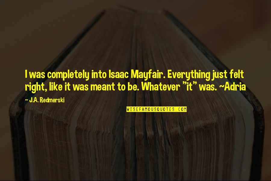 Angry Face Quotes By J.A. Redmerski: I was completely into Isaac Mayfair. Everything just