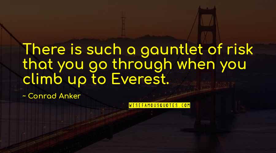Angry Gif Quotes By Conrad Anker: There is such a gauntlet of risk that