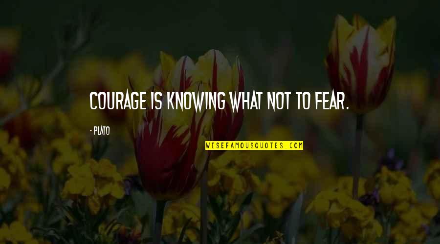 Angry Husbands Quotes By Plato: Courage is knowing what not to fear.
