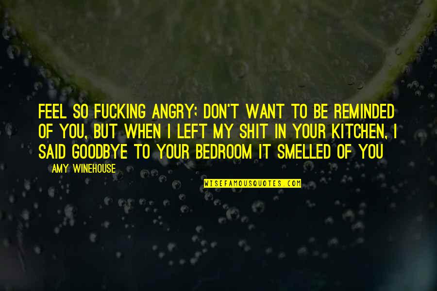 Angry Love Quotes By Amy Winehouse: Feel so fucking angry; don't want to be
