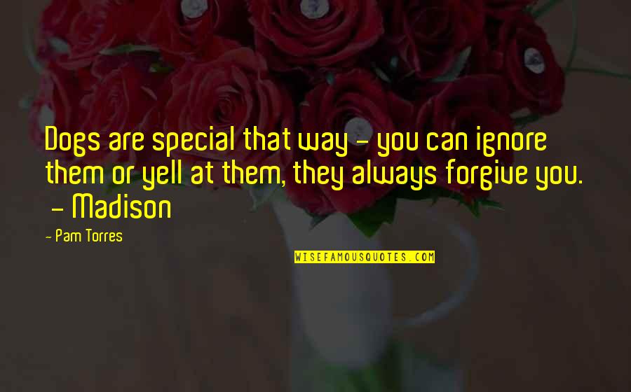 Angry Lovers Quotes By Pam Torres: Dogs are special that way - you can