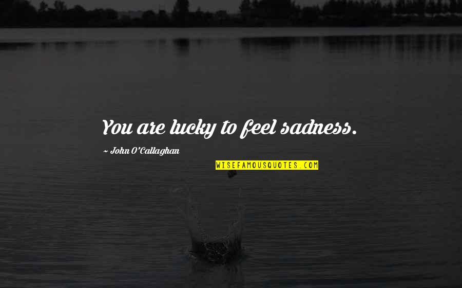 Angulo Agudo Quotes By John O'Callaghan: You are lucky to feel sadness. Angulo Agudo Quotes By John O'Callaghan: You are lucky to feel sadness.
