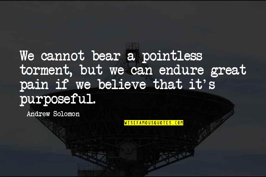 Angus Tuck Quotes By Andrew Solomon: We cannot bear a pointless torment, but we Angus Tuck Quotes By Andrew Solomon: We cannot bear a pointless torment, but we