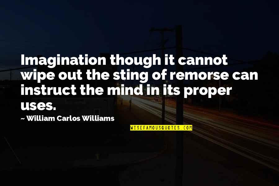 Anhalt Hall Quotes By William Carlos Williams: Imagination though it cannot wipe out the sting