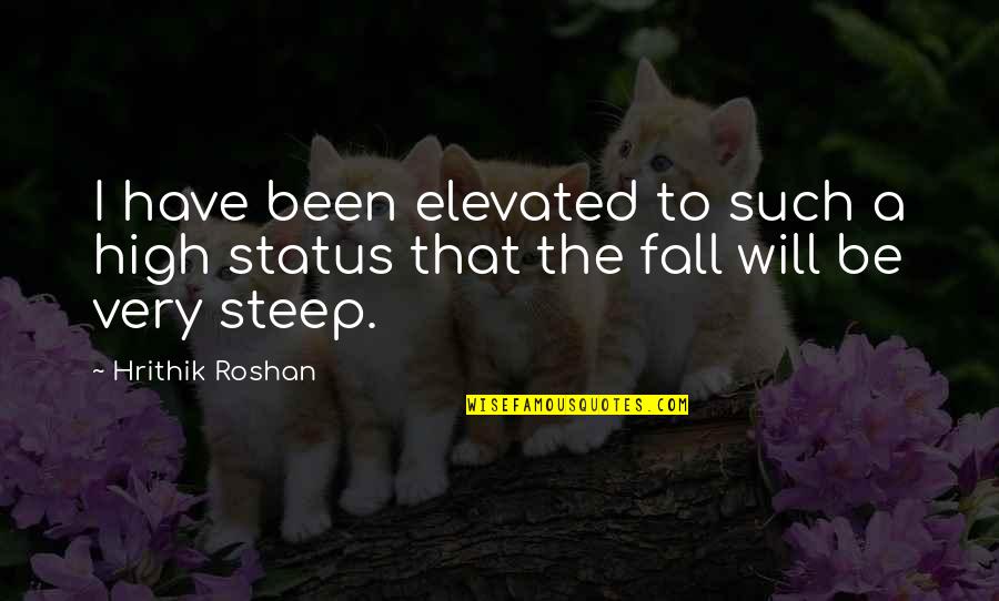 Anhelamos Significado Quotes By Hrithik Roshan: I have been elevated to such a high