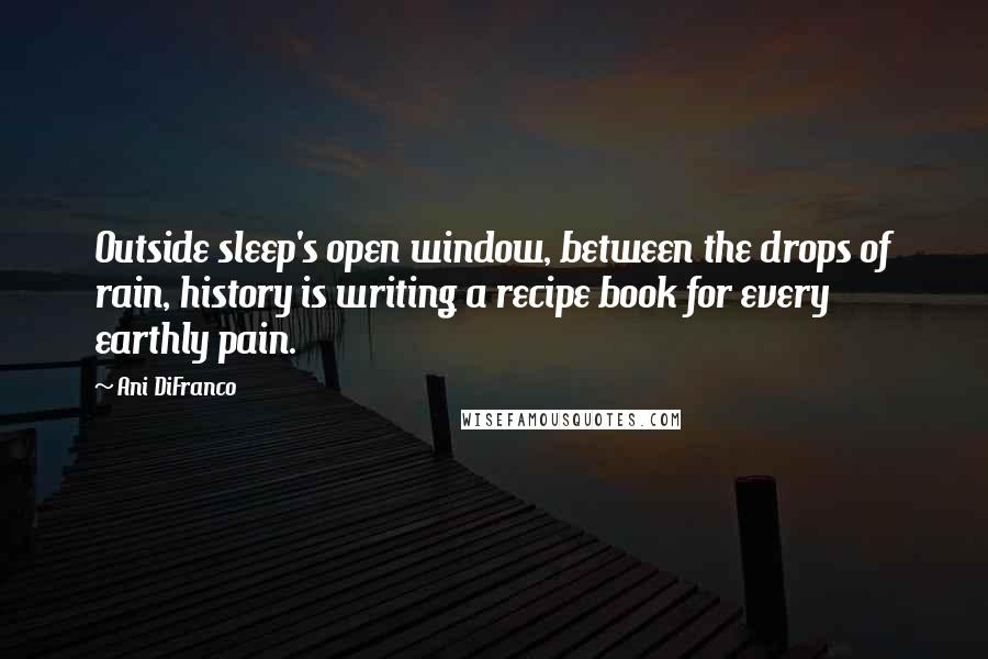 Ani DiFranco quotes: Outside sleep's open window, between the drops of rain, history is writing a recipe book for every earthly pain. Ani DiFranco quotes: Outside sleep's open window, between the drops of rain, history is writing a recipe book for every earthly pain.