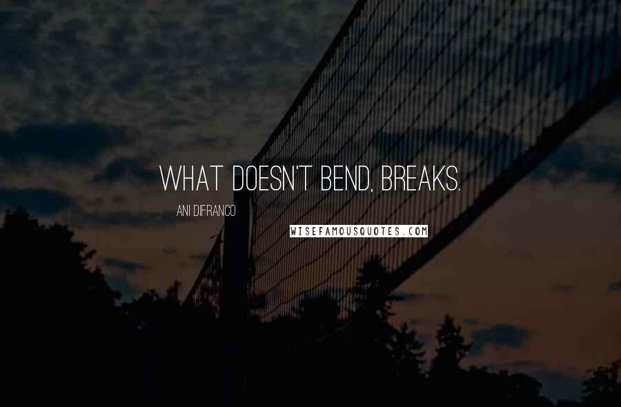 Ani DiFranco quotes: What doesn't bend, breaks.