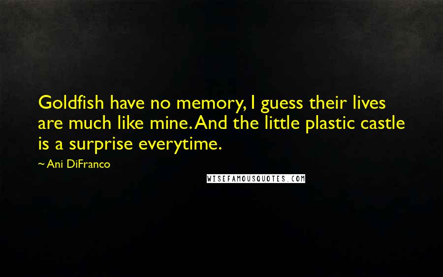 Ani DiFranco quotes: Goldfish have no memory, I guess their lives are much like mine. And the little plastic castle is a surprise everytime. Ani DiFranco quotes: Goldfish have no memory, I guess their lives are much like mine. And the little plastic castle is a surprise everytime.
