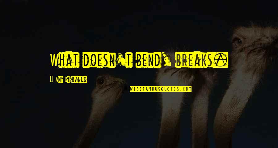 Ani Difranco Quotes By Ani DiFranco: What doesn't bend, breaks.