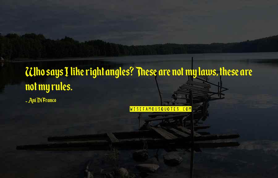 Ani Difranco Quotes By Ani DiFranco: Who says I like right angles? These are